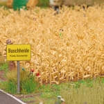 Busch 1257 - H0 - Erntereifer Mais